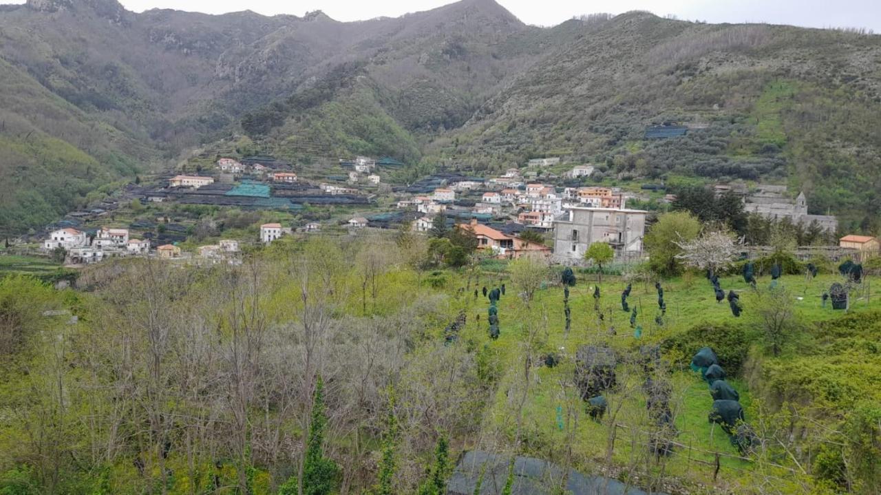 Hotel Affittacamere Novella Tramonti Exteriör bild