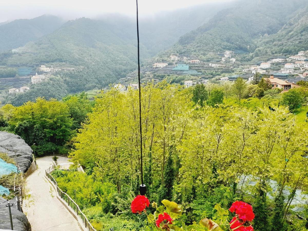 Hotel Affittacamere Novella Tramonti Exteriör bild